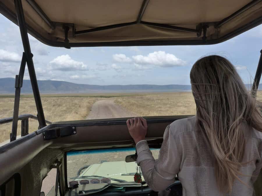 2-Day Private Luxury Safari from Zanzibar with Flights - Timing and transfers: how to avoid the common “we lost the lodge” problem