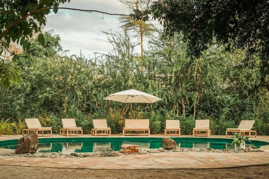 2-Day Private Luxury Safari from Zanzibar with Flights - Day 1: Zanzibar flight to Tarangire and the elephant-focused rhythm