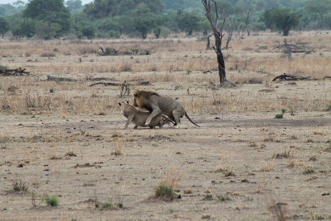 2-Day Private Mikumi National Park Tour with Pickup - Key Highlights Worth Booking