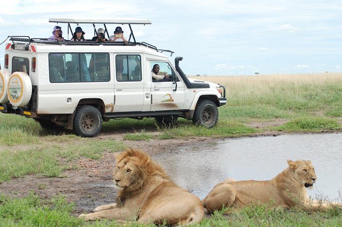 2 Day Serengeti Safari Experience from Mwanza - The Safari Vehicle Really Changes the Viewing Experience