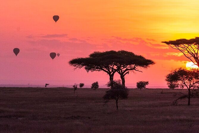 2-Day Sublime Safari to Tarangire and Ngorongoro Safari - Two Parks, Two Days: What This Fast Safari Really Delivers