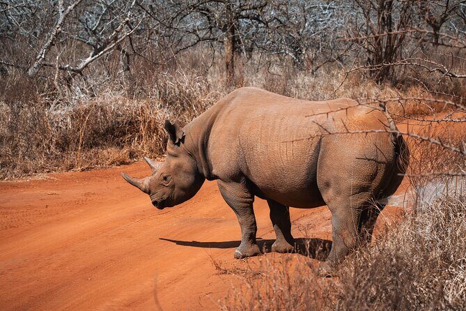 2 Day Tanzania Safari in Tarangire and Ngorongoro Crater - Comfort and food: what’s included (and what costs extra)