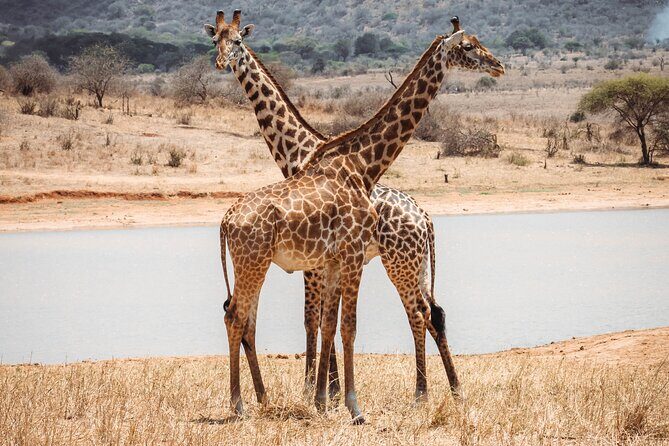 2 Day Tanzania Safari in Tarangire and Ngorongoro Crater - Price and value: what $1,310 per person really covers