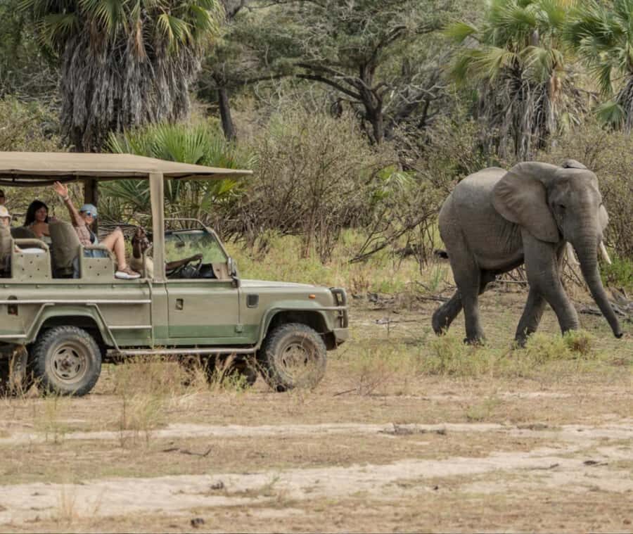 2 Day Zanzibar to Nyerere NP (Selous GR) By Flight - From Zanzibar flights to Mtemere Airstrip: why this trip works