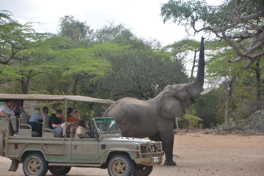 2 Day Zanzibar to Nyerere NP (Selous GR) By Flight - Selous Safari Lodge: a comfy base just outside the action