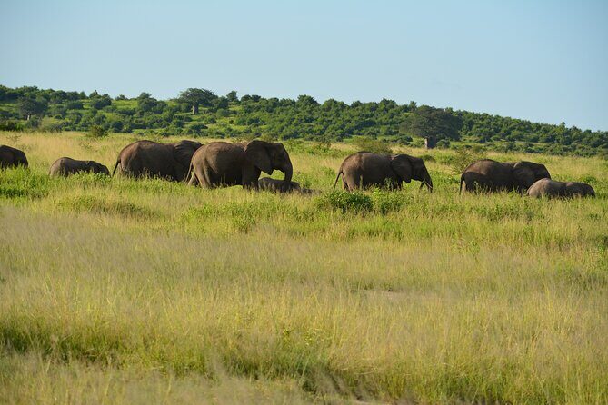 2 Days 1 Night Northern Joining Safari Private Tour - Food, Comfort, and What the Price Actually Covers