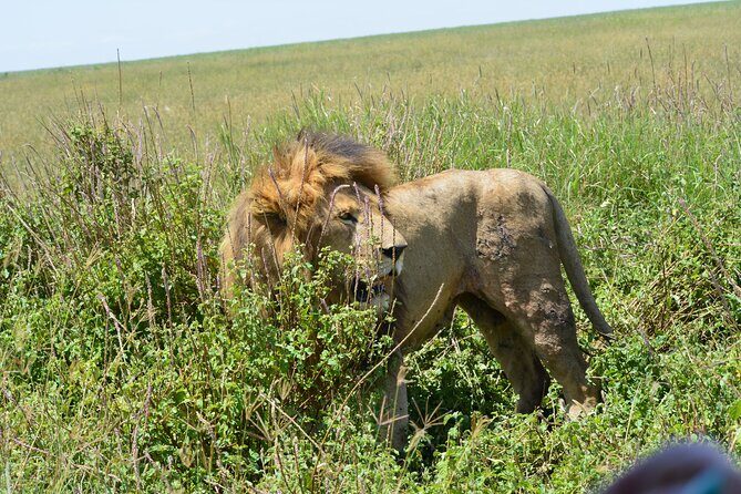 2 Days 1 Night Northern Joining Safari Private Tour - Price and Logistics: Is $780 Per Person Good Value?
