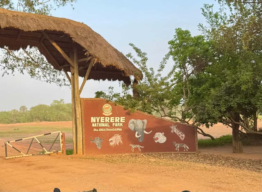 2 Days 1 Night Nyerere National Park from Zanzibar by flight - Day 2: Rufiji River Boat Safari at 10:00 (Hippos, Crocs, and Birds)