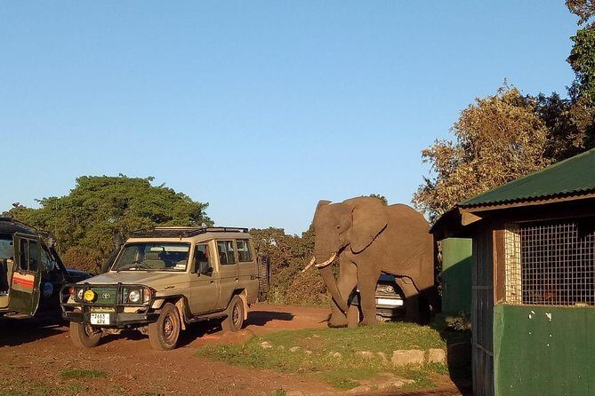 2 Days / 1 Night Tanzania Safari Tour - Key things to know before you go