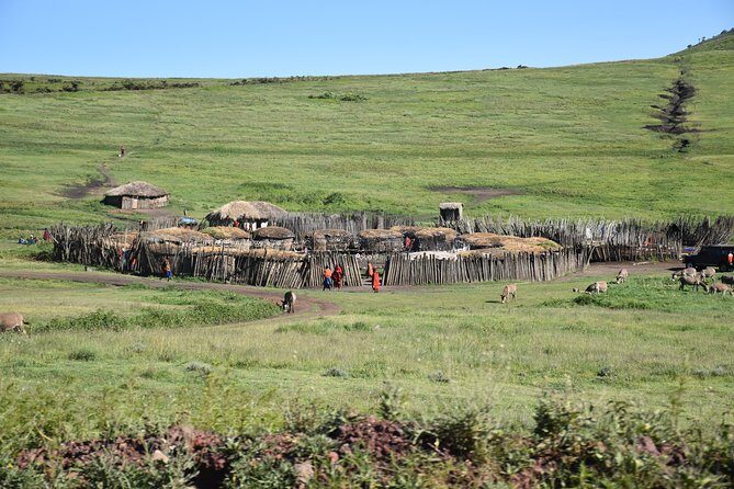2 Days / 1 Night Tanzania Safari Tour - A two-day safari that actually fits a tight schedule