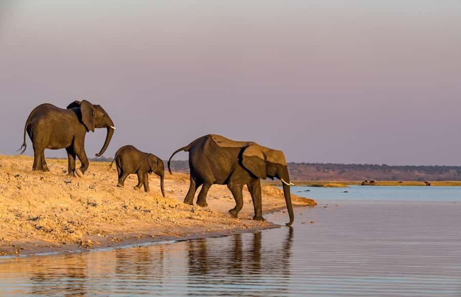 2 Days 1 Night Tarangire & Ngorongoro Crater - Key Highlights You’ll Care About