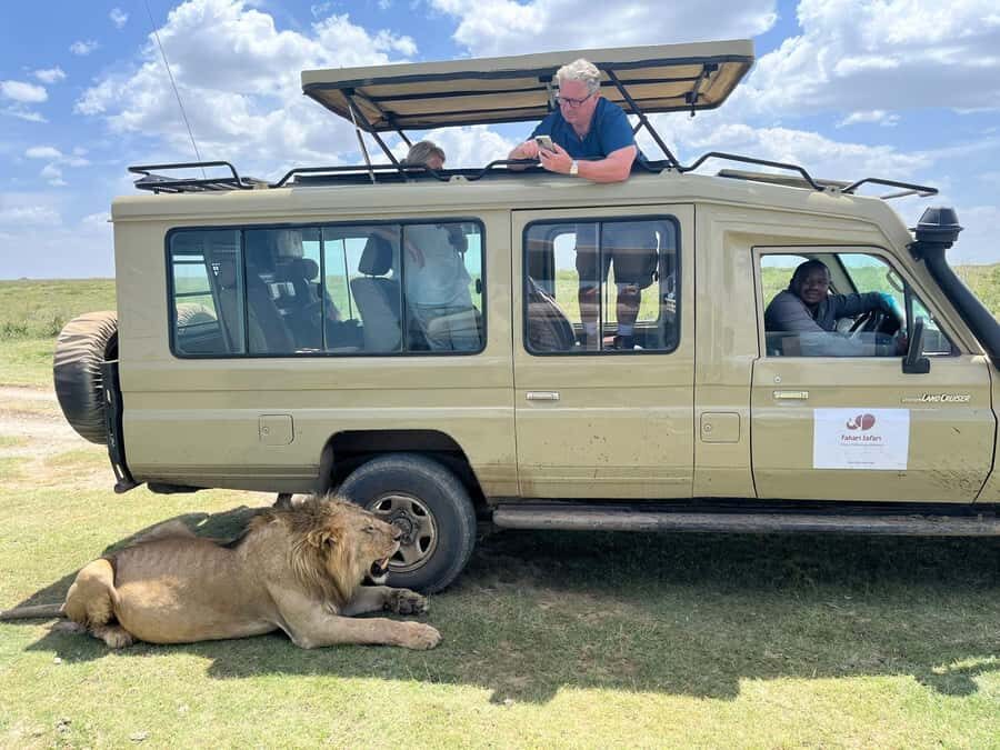 2 Days 1 Night Tarangire & Ngorongoro Crater - Ngorongoro Crater: The Big Descent and Why the Timing Matters