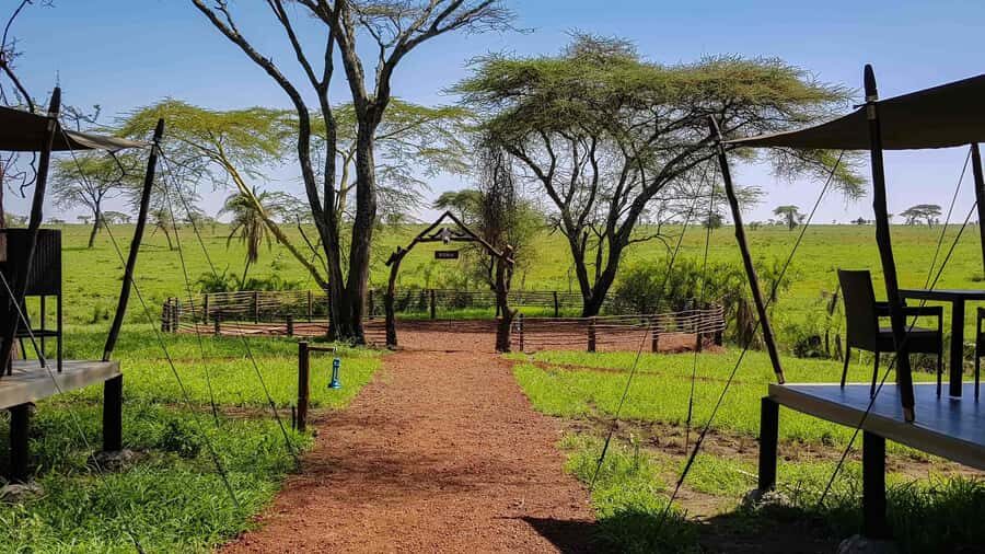 2 Days 1 Night Tarangire & Ngorongoro Crater - Wildlife Viewing Real Talk: Big Five Chances and Distance Differences