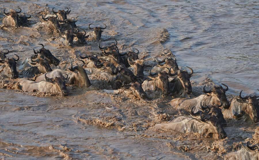 2 Days 1 Night Tarangire & Ngorongoro Crater - The Overnight Plan: Camp or Lodge Comfort That Keeps the Safari Rolling
