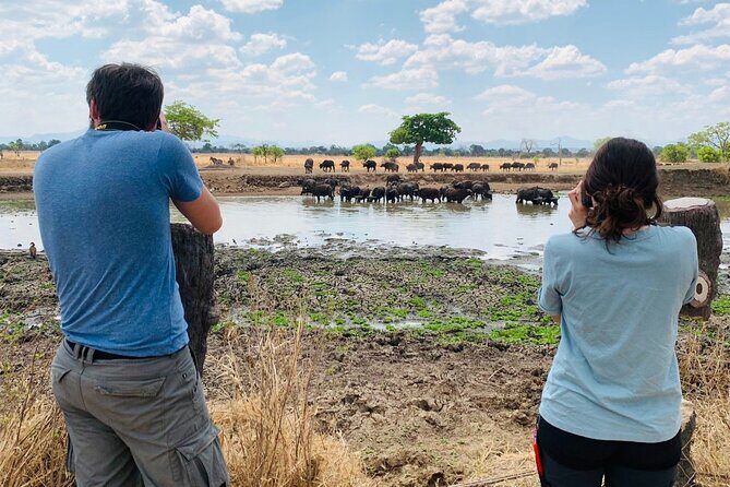2 Days Best Safari to Mikumi National Park - Private Tour Setup And Your Guide In Mikumi