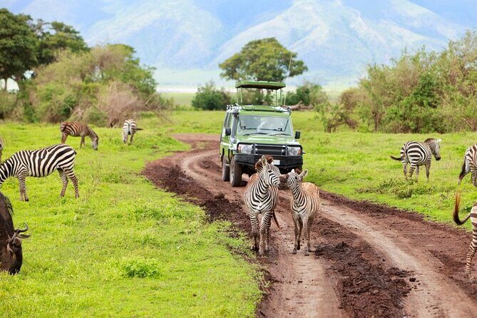 2 Days Camping Group Joining Tarangire Ngorongoro Crater Safari - Twiga Lodge Night: Where You Recharge Before the Crater