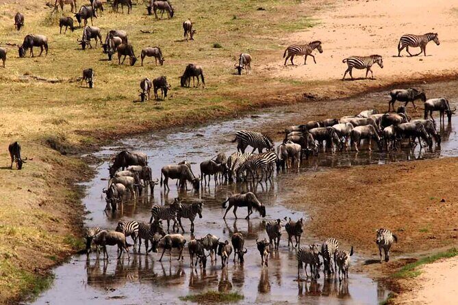 2 Days Camping Group Joining Tarangire Ngorongoro Crater Safari - Price and Value at $515: What’s Actually Included