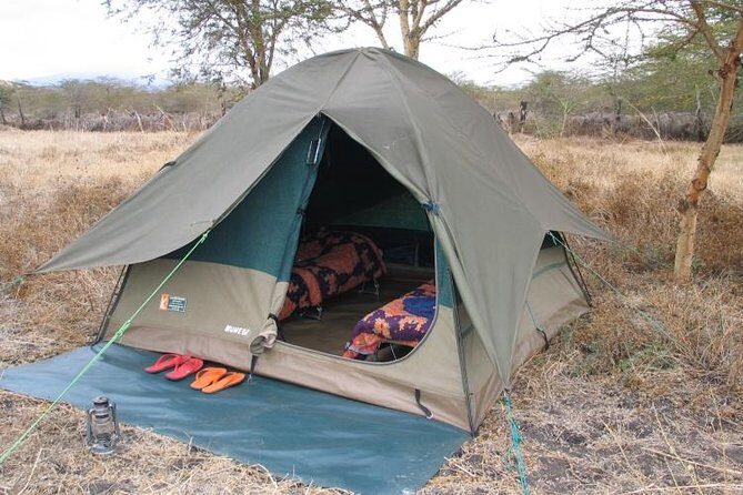 2 Days Camping Safari, Lake Manyara & Ngorongoro Crater - Day 2: Descending About 600 Meters Into Ngorongoro Crater