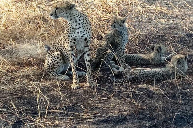 2 Days Camping Safari, Lake Manyara & Ngorongoro Crater - Lake Magadi and the Picnic Lunch Inside the Crater Zone