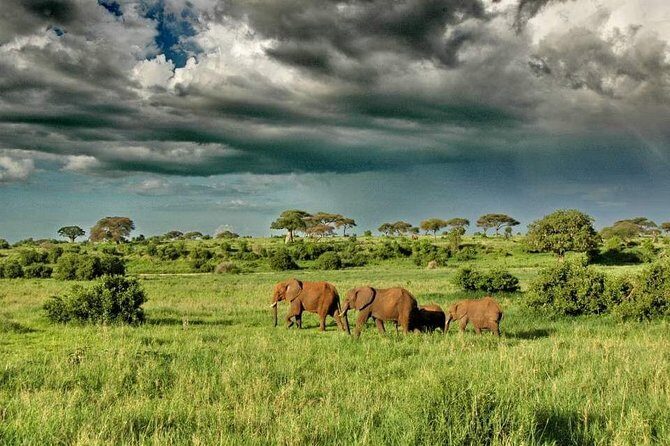 2 Days Joined Group Tarangire and Ngorongoro Crater National Park - Why Tarangire and Ngorongoro in 48 Hours Works