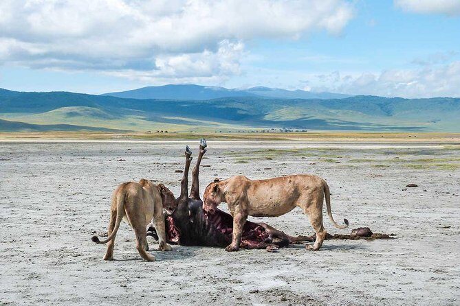 2 Days Joined Group Tarangire and Ngorongoro Crater National Park - Overnight Setup: Arusha Hotels Before Safari and Safari Lodges During