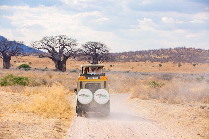 2 Days Mikumi Private Safari from Zanzibar with Accommodation - Day 2: The Very Early Morning Safari and Return to Zanzibar