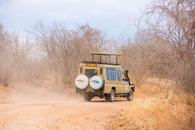 2 Days Mikumi Private Safari from Zanzibar with Accommodation - What to Pack and How to Prep for a 2-Day Safari Rhythm