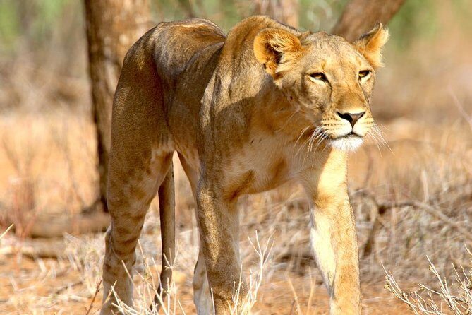 2 Days Morogoro- Selous Game Reserve(Nyerere national park) - Selous Game Reserve in plain terms: habitats you actually notice
