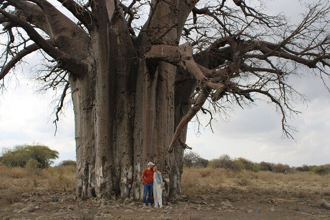 2 days private lodge safari - Ngorongoro Crater: descending ~600 meters for dense wildlife