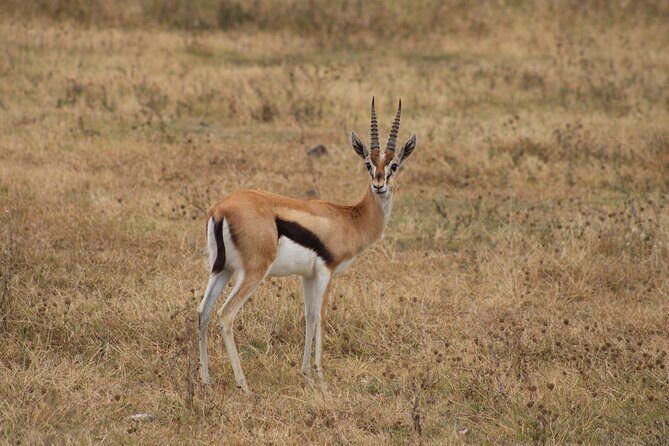 2 days private lodge safari - What’s included (and what this means for your budget)