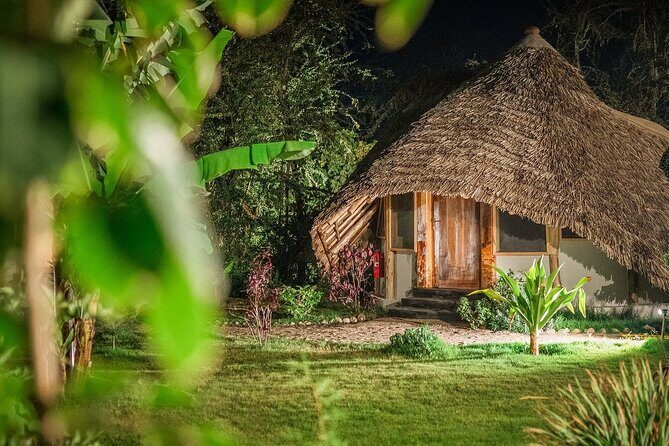 2 Days Private Midrange Safari from and back to Zanzibar - Jungle Pearl Resort dinner reset: planning for energy, not just sleep