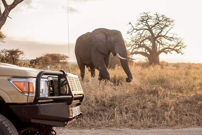 2 Days Private Midrange Safari from and back to Zanzibar - Price and value: what $1,557 per person really covers