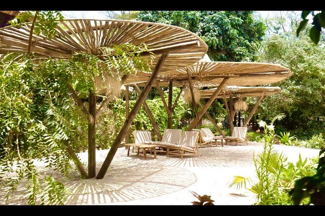 2 Days Private Midrange Safari from and back to Zanzibar - Tarangire National Park: elephants, baobabs, and a picnic you’ll guard