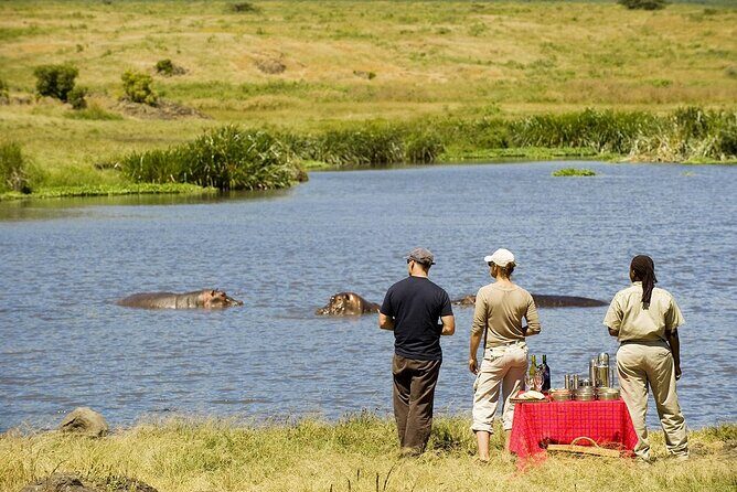 2-Days Private Midrange Safari; Tarangire & Ngorongoro Crater - Two Parks, One Tight Circuit From Arusha