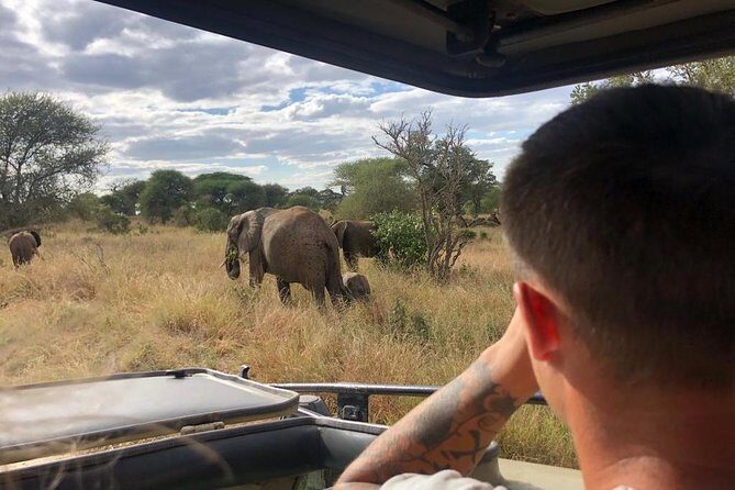 2-Days Private Midrange Safari; Tarangire & Ngorongoro Crater - Who the safari fits best (and who should think twice)