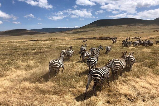 2-Days Private Midrange Safari; Tarangire & Ngorongoro Crater - Guides, communication, and the small things that shape the day