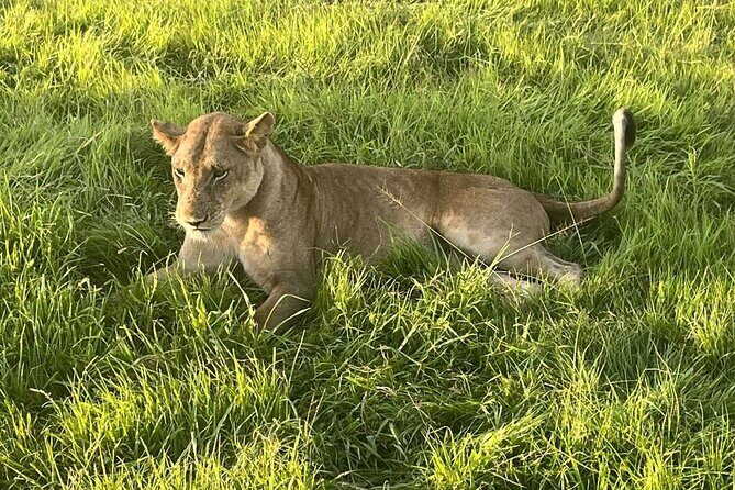 2 days private safari to Mikumi N park from Zanzibar or Dsm - Price and what you actually get for $620 per person