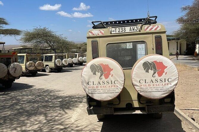 2 days private safari to Mikumi N park from Zanzibar or Dsm - Day 2: early morning sightings and a photo-friendly exit