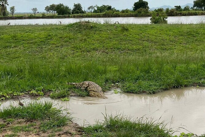 2 days private safari to Mikumi N park from Zanzibar or Dsm - Camp life inside Mikumi: rustic, but part of the point
