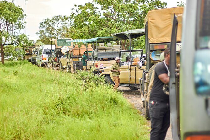 2 Days Private Safari Tour of Mikumi - Day 2 Game Viewing: Lions, Elephants, Hippos, and Birds