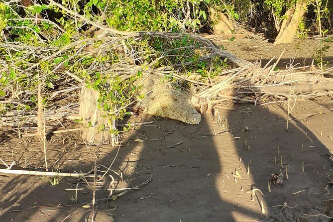 2 Days Saadani National Park From Zanzibar - What to bring and how to get better sightings