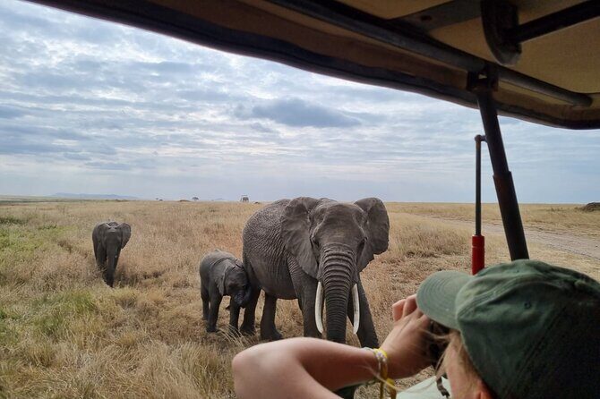 2 Days Safari in Tarangire and Ngorongoro Crater - Key highlights you’ll care about