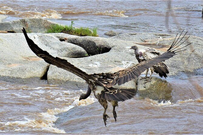 2 Days Safari through Tarangire NP and Lake Manyara NP - Mto wa Mbu and the Maasai village pass: culture without the detour