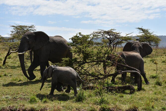 2 Days Safari through Tarangire NP and Lake Manyara NP - What to pack and how to pace yourself for a short safari