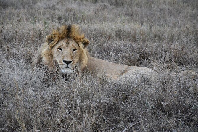 2 Days Safari through Tarangire NP and Lake Manyara NP - Lake Manyara National Park early: the morning game drive advantage