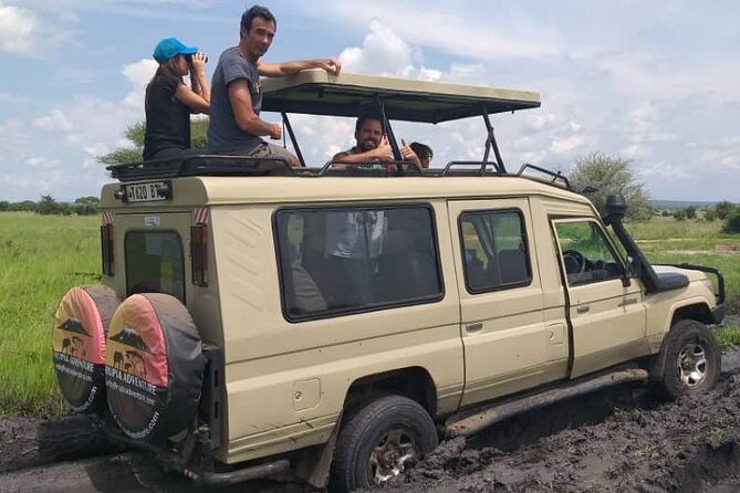 2 Days Tanzania Safari - Lake Manyara and Tarangire National Park - Tarangire National Park Morning Game Drive: River Swamps, Acacia Woodland, and Baobabs