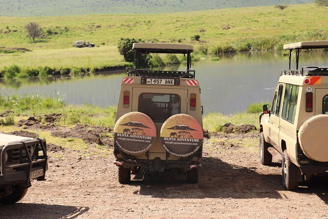 2 Days Tanzania Safaris - The guide’s job on Day 1: finding animals without turning it into a traffic jam