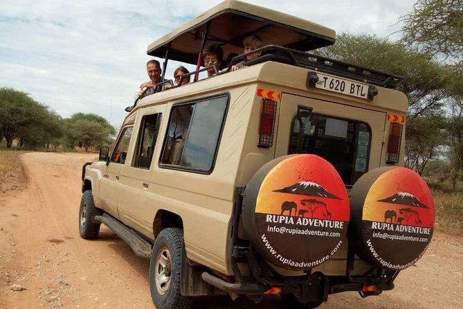 2 Days Tanzania Safaris - Day 2 at Ngorongoro Crater: why this UNESCO caldera feels so intense