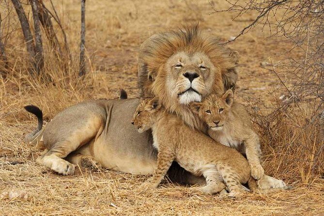 2 Days Tarangire and Ngorongoro Safari from Zanzibar - Tarangire National Park: golden savannah and river-watching for game
