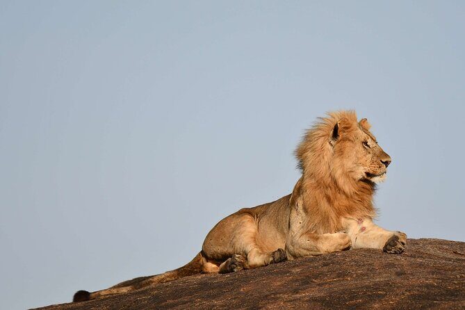 2 Days Tarangire and Ngorongoro Safari from Zanzibar - Ngorongoro Conservation Area: stepping into the crater world